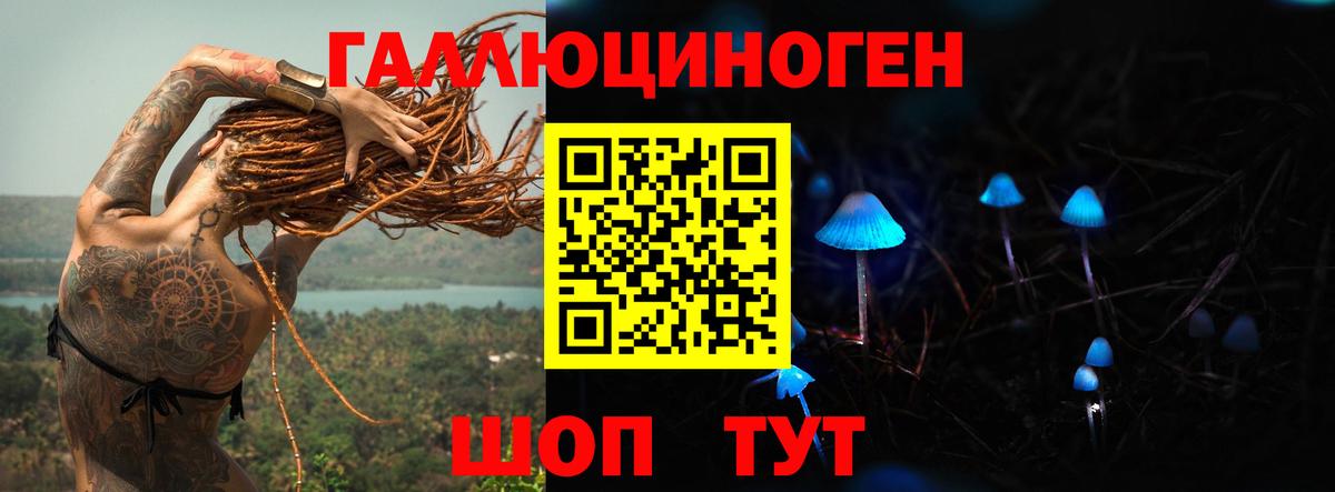 Псилоцибиновые грибы MAGIC MUSHROOMS  Вход с VPN  Ноябрьск  Галлюциногенные грибы Psilocybine cubensis 